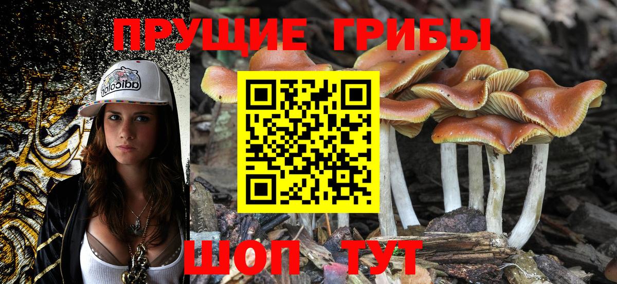 Галлюциногенные грибы прущие грибы Шатура